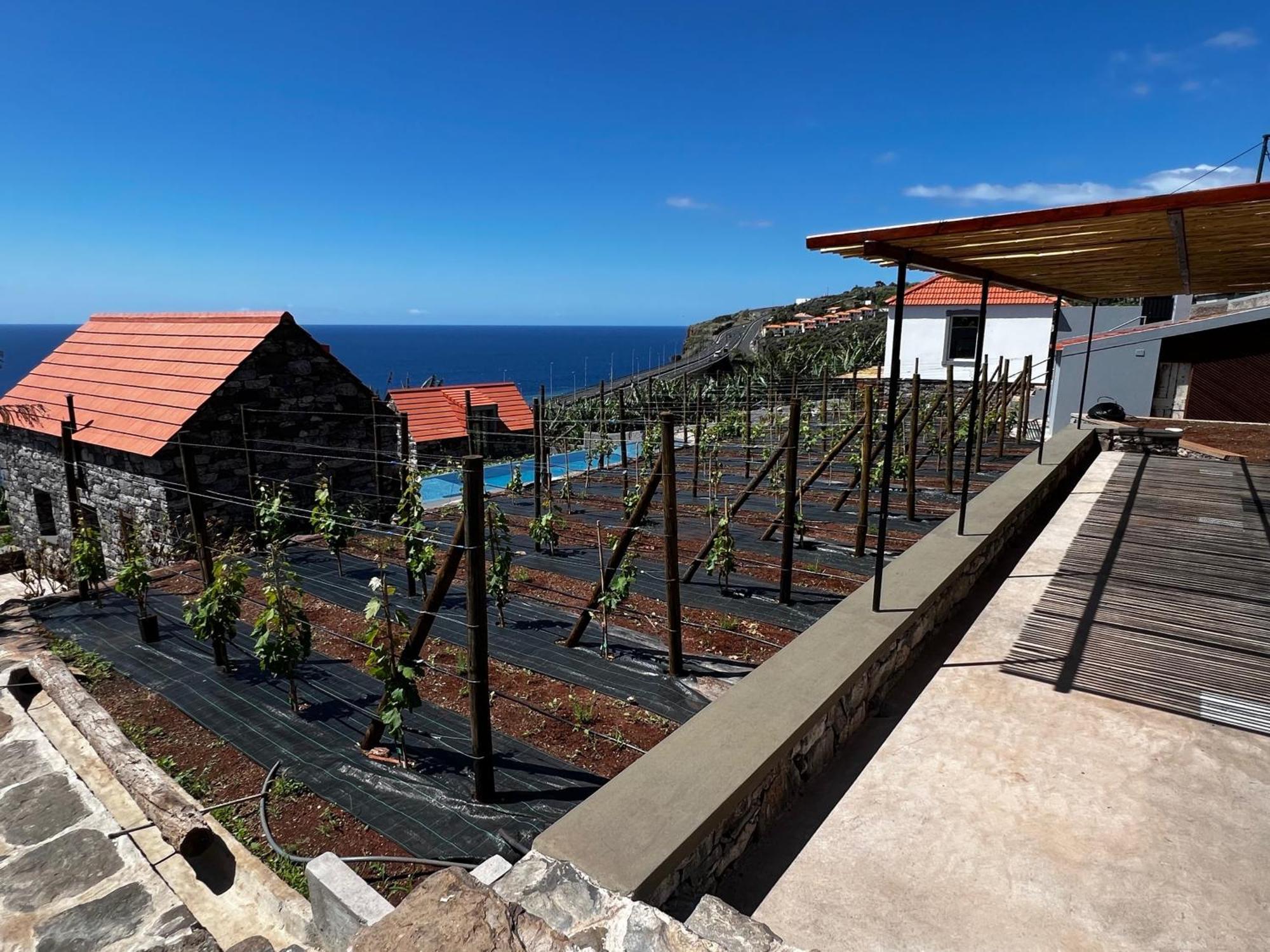 Casas Do Laranjo- Cottages & Infinity Pool Gaula Ngoại thất bức ảnh